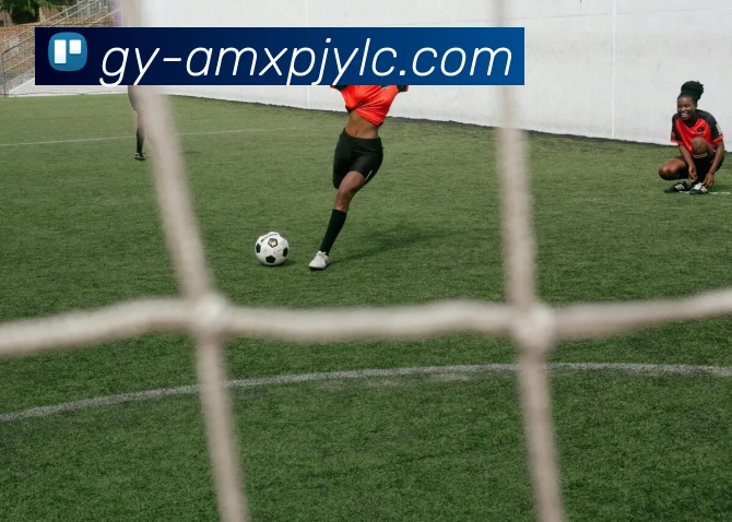 澳门新葡京娱乐APP 体育赛事宣传图